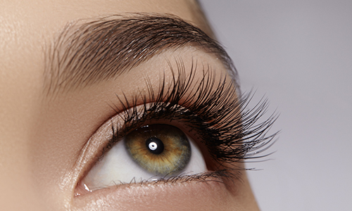 Eyelash & Eyebrow Tints in Chiswick With Chiswick Beautique
